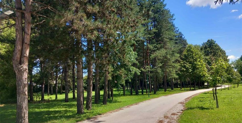  Vatrogasna cesta i Mala Švarča dobile javnu rasvjetu – Postavljeni rasvjetni stupovi s LED svjetiljkama